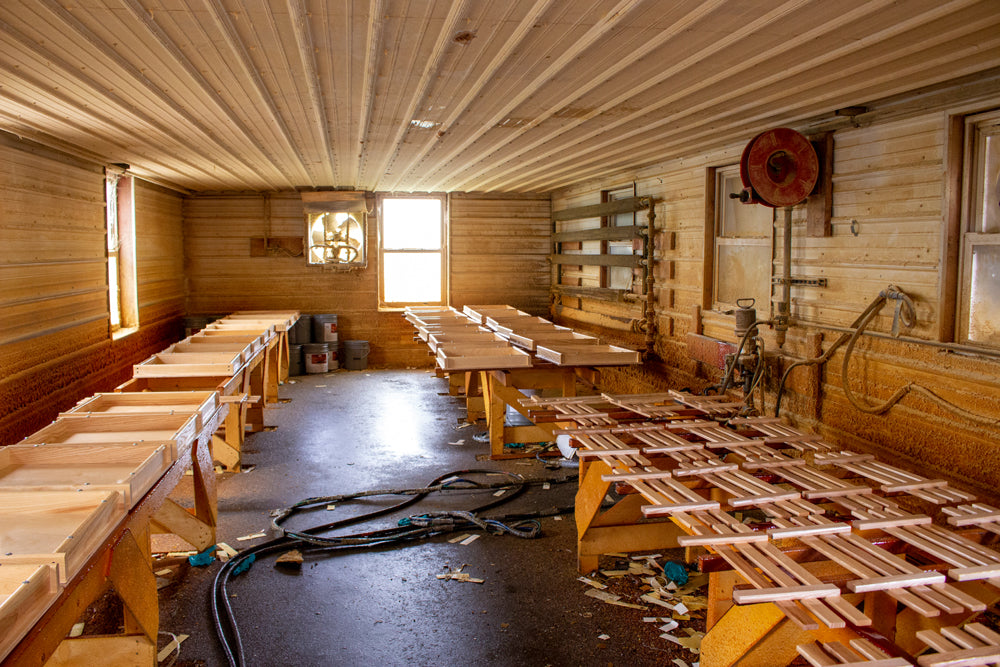 Inside of varnish shed