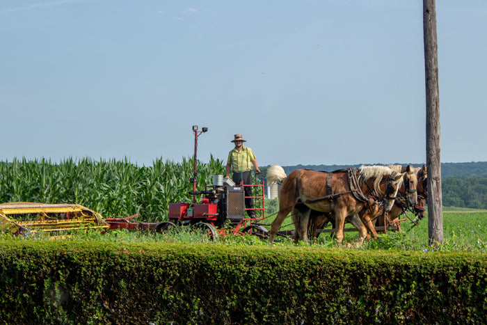 Man plowing field with horses