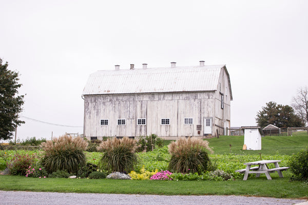 White Barn with flower beds and a garden in front